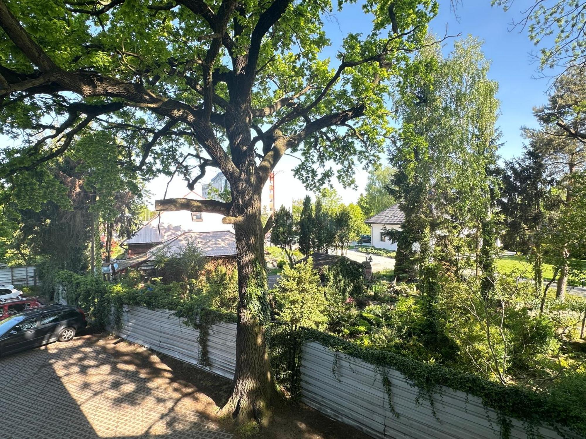 Moveen! Wynajem Apartamentow We Wroclawiu! 10 Minut Od Centrum Exteriör bild